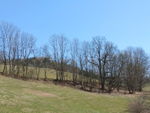 20250322_122211.jpg