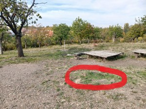 tresnovka.jpg